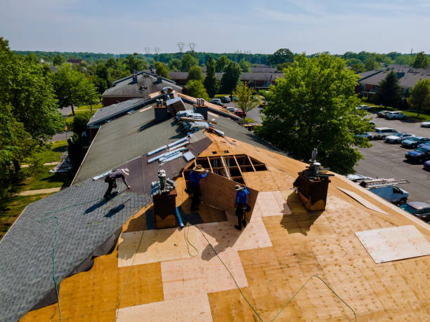 24/7 Emergency Storm Damage Roof Repair experts in Maceo, KY